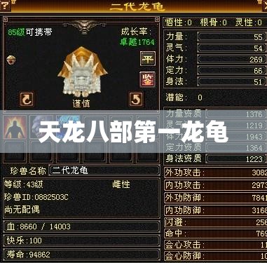 天龙八部第一龙龟 天龙八部第一龙龟