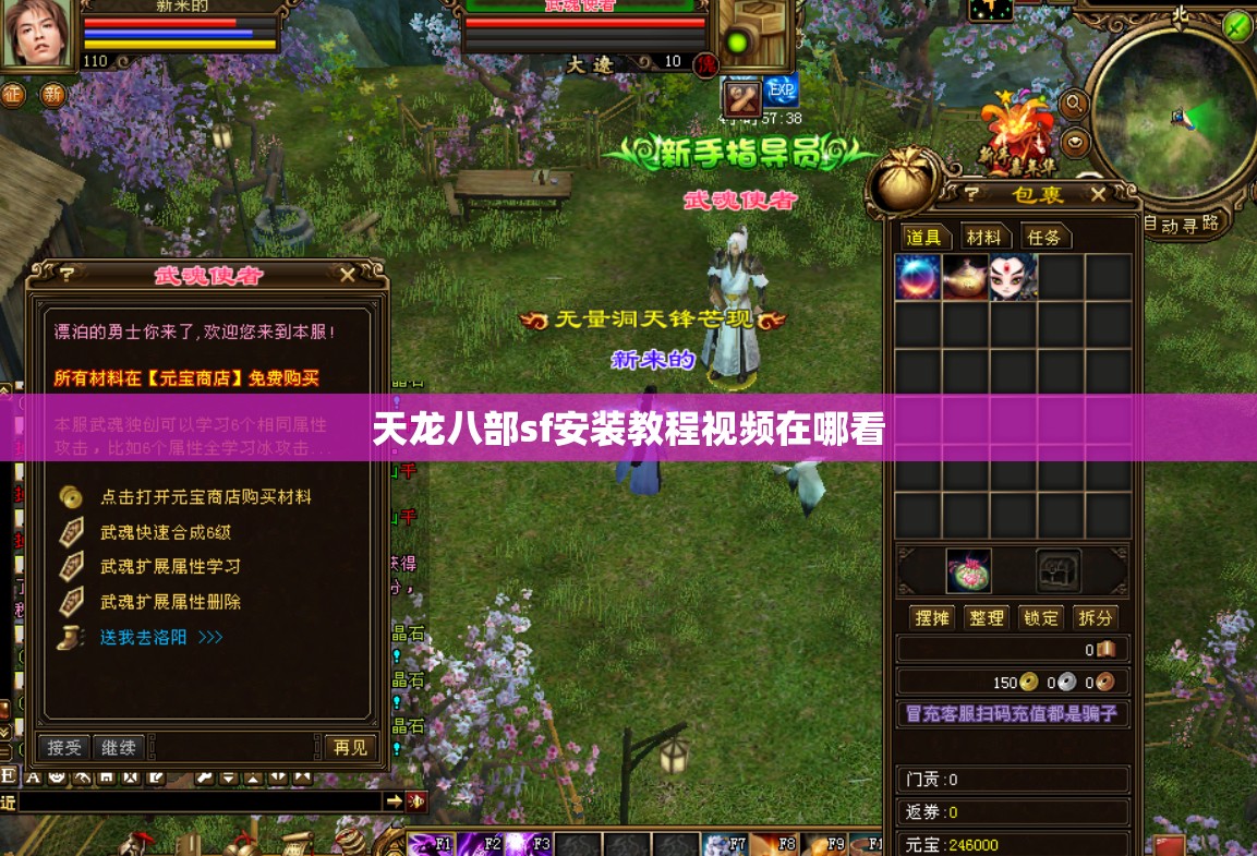 天龙八部sf安装教程视频在哪看