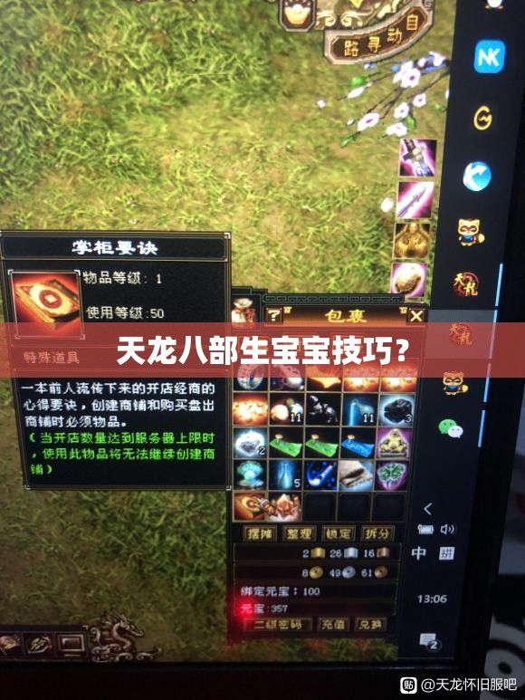 天龙八部生宝宝技巧? 天龙八部生宝宝技巧?