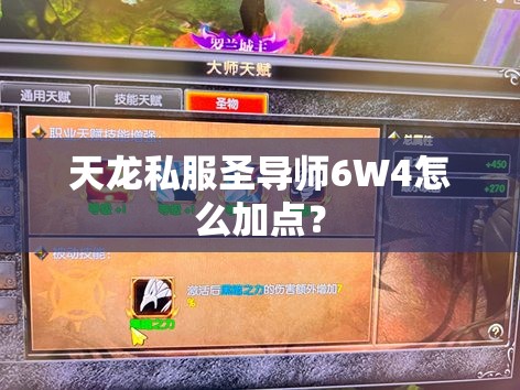 天龙私服圣导师6W4怎么加点? 天龙私服圣导师6W4怎么加点?