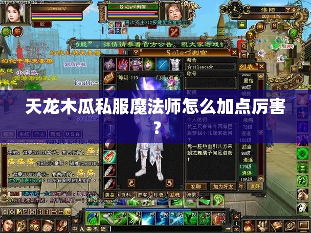 天龙木瓜私服魔法师怎么加点厉害? 天龙木瓜私服魔法师怎么加点厉害?