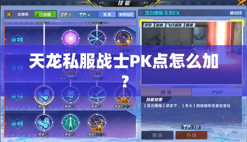 天龙私服战士PK点怎么加? 天龙私服战士PK点怎么加?