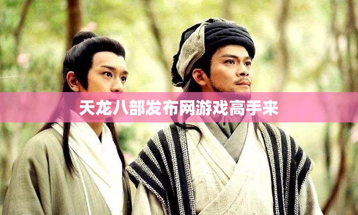 天龙八部发布网游戏高手来 天龙八部发布网游戏高手来
