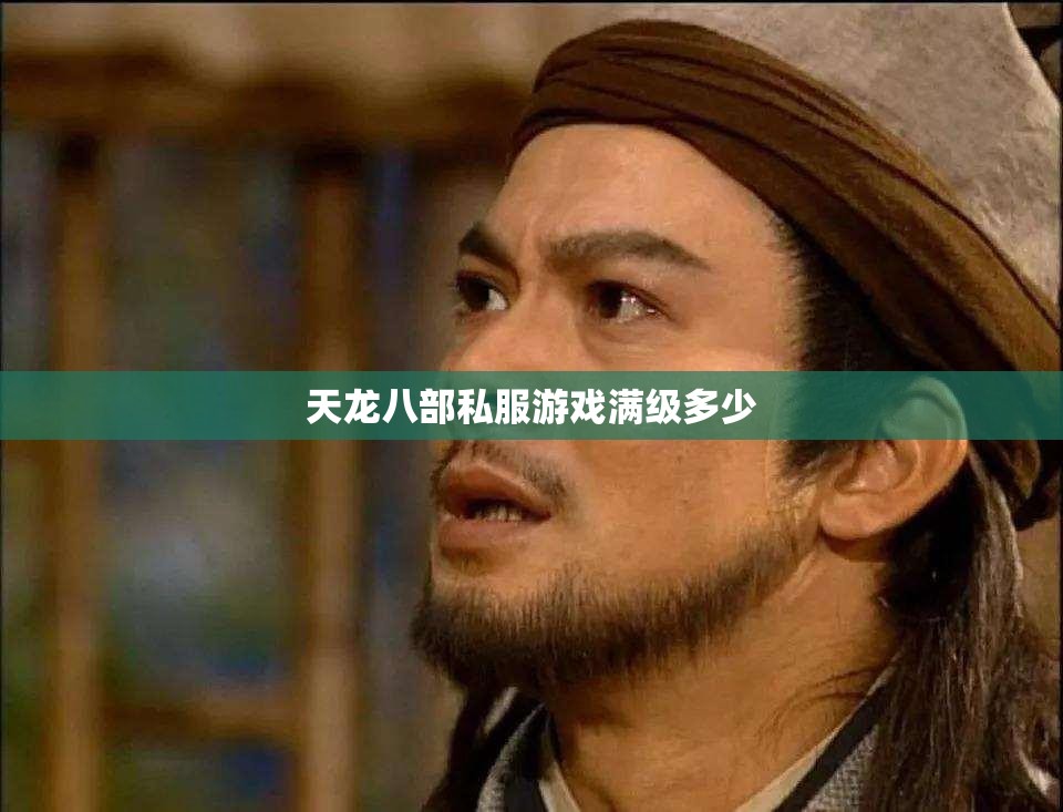 天龙八部私服游戏满级多少 天龙八部私服游戏满级多少
