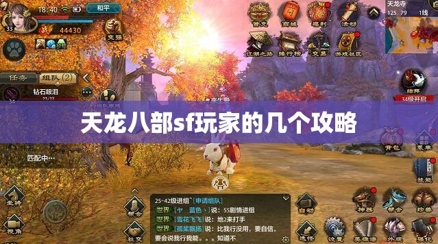 天龙八部sf玩家的几个攻略 天龙八部sf玩家的几个攻略