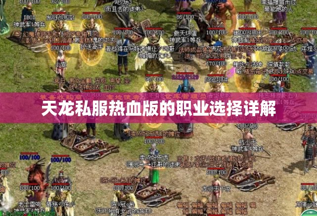天龙私服热血版的职业选择详解 天龙私服热血版的职业选择详解