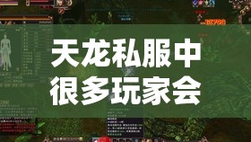 天龙私服中很多玩家会发现天山派的伤害非常高 天龙私服中很多玩家会发现天山派的伤害非常高