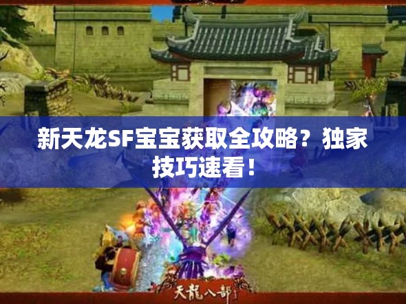 新天龙SF宝宝获取全攻略?独家技巧速看! 新天龙SF宝宝获取全攻略?独家技巧速看!
