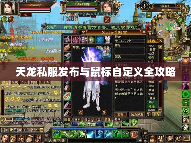 天龙私服发布与鼠标自定义全攻略 天龙私服发布与鼠标自定义全攻略
