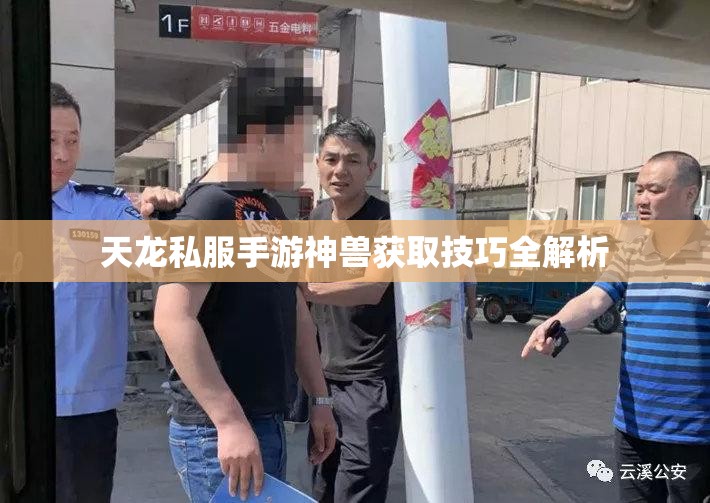 天龙私服手游神兽获取技巧全解析 天龙私服手游神兽获取技巧全解析