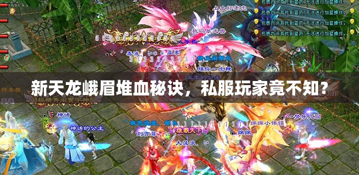 新天龙峨眉堆血秘诀,私服玩家竟不知? 新天龙峨眉堆血秘诀,私服玩家竟不知?