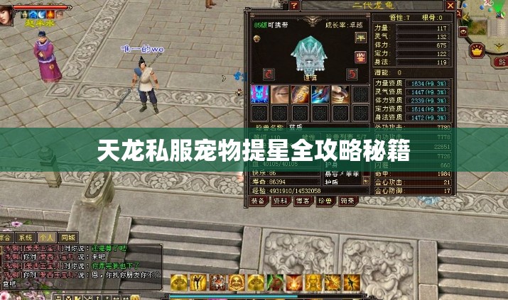 天龙私服宠物提星全攻略秘籍 天龙私服宠物提星全攻略秘籍