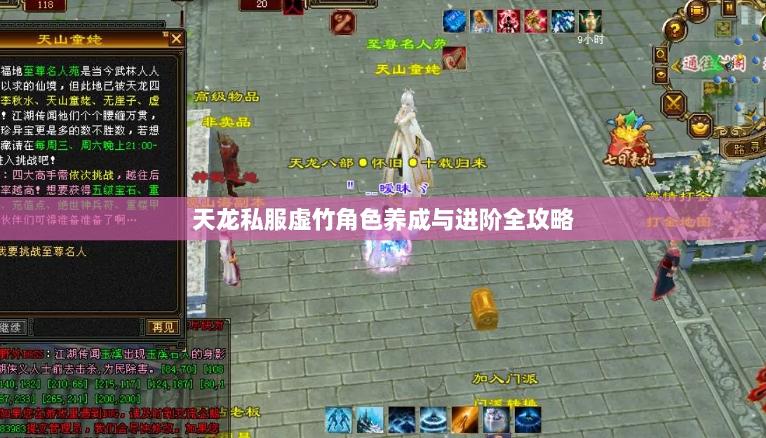 天龙私服虚竹角色养成与进阶全攻略 天龙私服虚竹角色养成与进阶全攻略