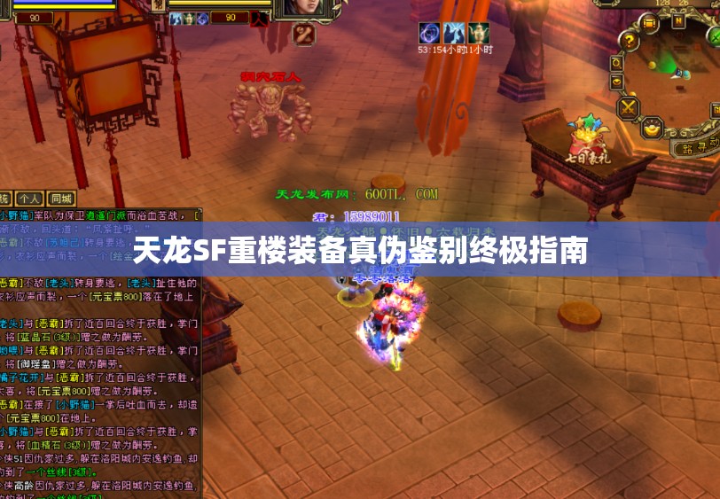 天龙SF重楼装备真伪鉴别终极指南 天龙SF重楼装备真伪鉴别终极指南