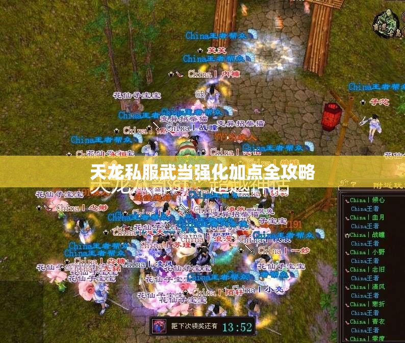 天龙私服武当强化加点全攻略 天龙私服武当强化加点全攻略