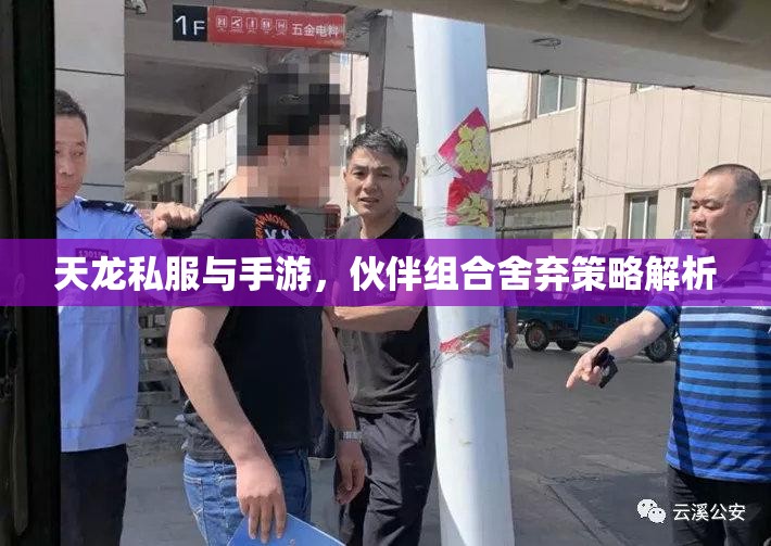 天龙私服与手游,伙伴组合舍弃策略解析 天龙私服与手游,伙伴组合舍弃策略解析