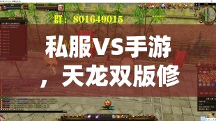 私服VS手游,天龙双版修炼全攻略 私服VS手游,天龙双版修炼全攻略