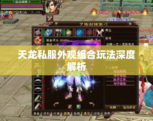 天龙私服外观组合玩法深度解析 天龙私服外观组合玩法深度解析