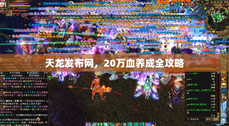 天龙发布网,20万血养成全攻略 天龙发布网,20万血养成全攻略