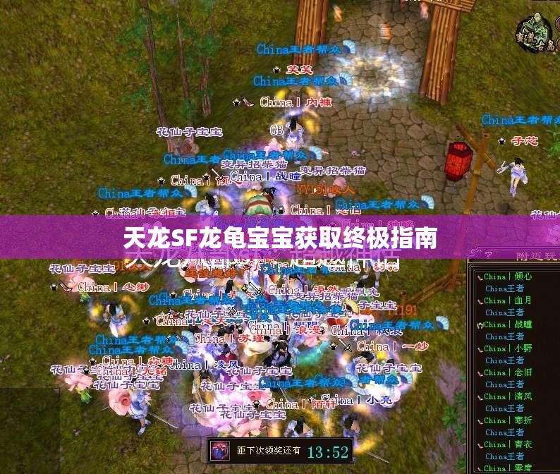 天龙SF龙龟宝宝获取终极指南 天龙SF龙龟宝宝获取终极指南