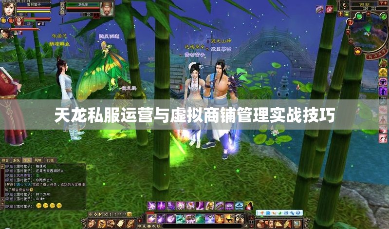 天龙私服运营与虚拟商铺管理实战技巧 天龙私服运营与虚拟商铺管理实战技巧