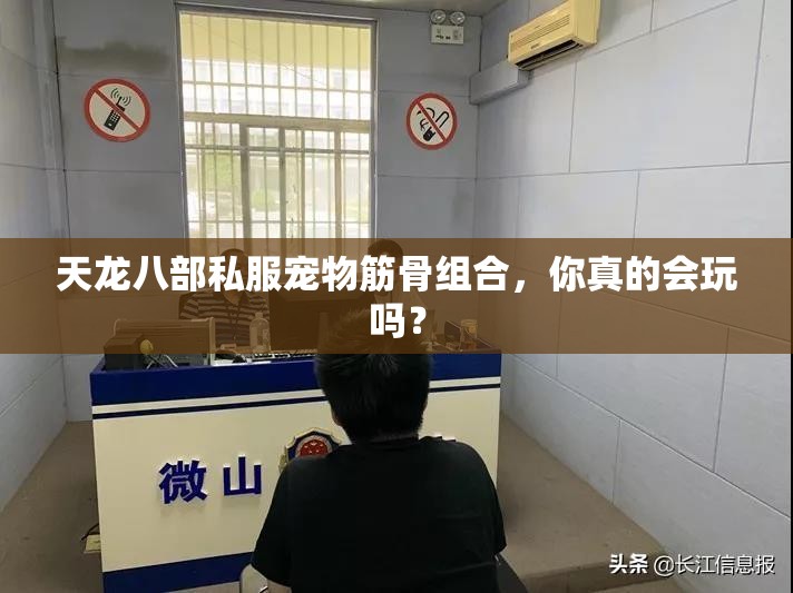 天龙八部私服宠物筋骨组合，你真的会玩吗？