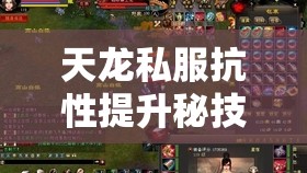 天龙私服抗性提升秘技与原版防御攻略 天龙私服抗性提升秘技与原版防御攻略