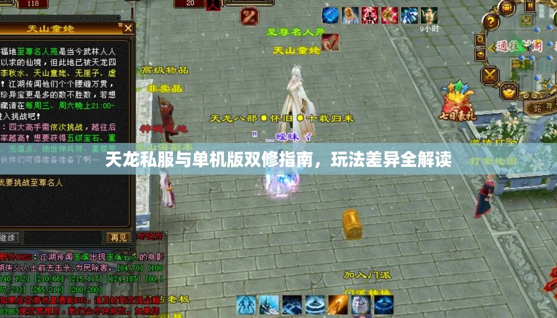 天龙私服与单机版双修指南,玩法差异全解读 天龙私服与单机版双修指南,玩法差异全解读