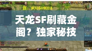 天龙SF刷藏金阁?独家秘技你掌握了吗? 天龙SF刷藏金阁?独家秘技你掌握了吗?