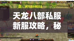 天龙八部私服新服攻略,秘境探秘路线全解析 天龙八部私服新服攻略,秘境探秘路线全解析