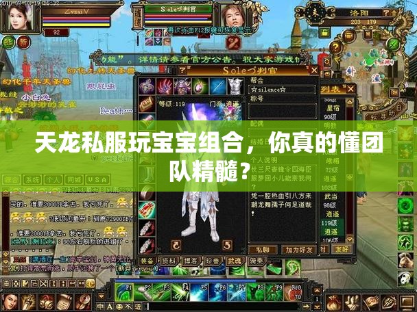 天龙私服玩宝宝组合,你真的懂团队精髓? 天龙私服玩宝宝组合,你真的懂团队精髓?