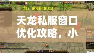 天龙私服窗口优化攻略,小屏显示技巧大全 天龙私服窗口优化攻略,小屏显示技巧大全