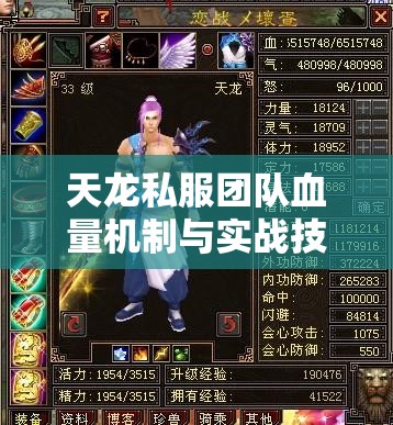 天龙私服团队血量机制与实战技巧 天龙私服团队血量机制与实战技巧