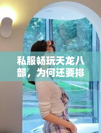 私服畅玩天龙八部,为何还要排队? 私服畅玩天龙八部,为何还要排队?