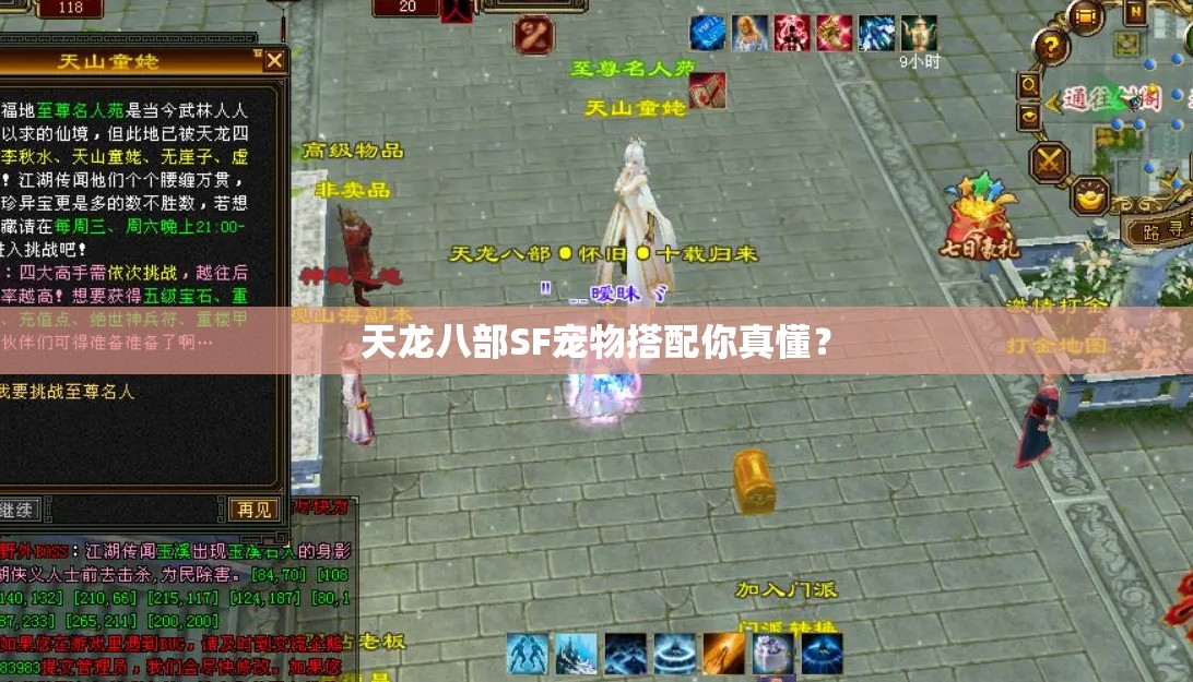 天龙八部SF宠物搭配你真懂? 天龙八部SF宠物搭配你真懂?