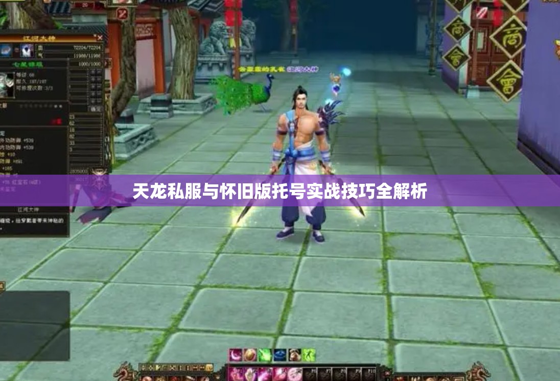天龙私服与怀旧版托号实战技巧全解析 天龙私服与怀旧版托号实战技巧全解析