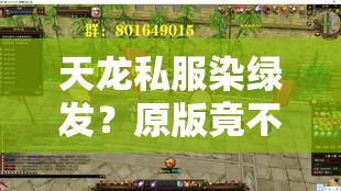 天龙私服染绿发？原版竟不如魔改版？