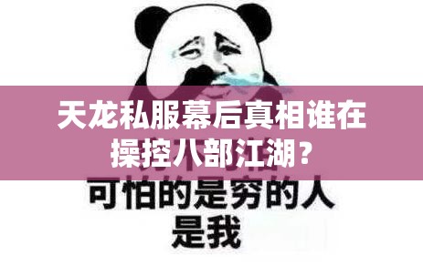 天龙私服幕后真相谁在操控八部江湖? 天龙私服幕后真相谁在操控八部江湖?