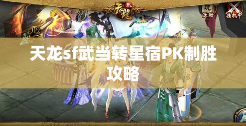 天龙sf武当转星宿PK制胜攻略 天龙sf武当转星宿PK制胜攻略