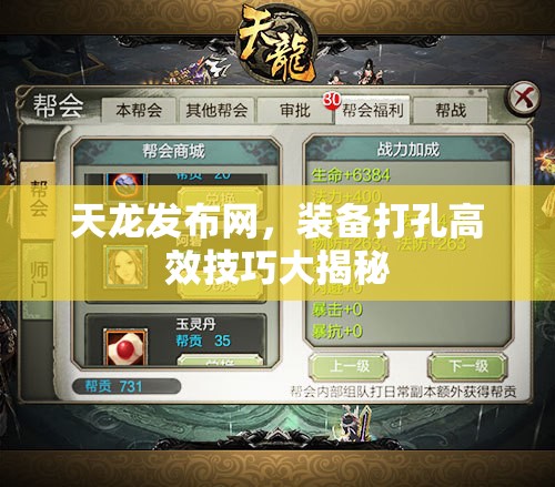 天龙发布网,装备打孔高效技巧大揭秘 天龙发布网,装备打孔高效技巧大揭秘