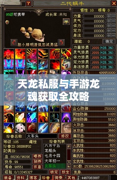 天龙私服与手游龙魂获取全攻略 天龙私服与手游龙魂获取全攻略