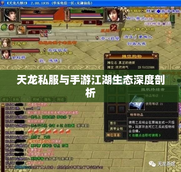 天龙私服与手游江湖生态深度剖析 天龙私服与手游江湖生态深度剖析