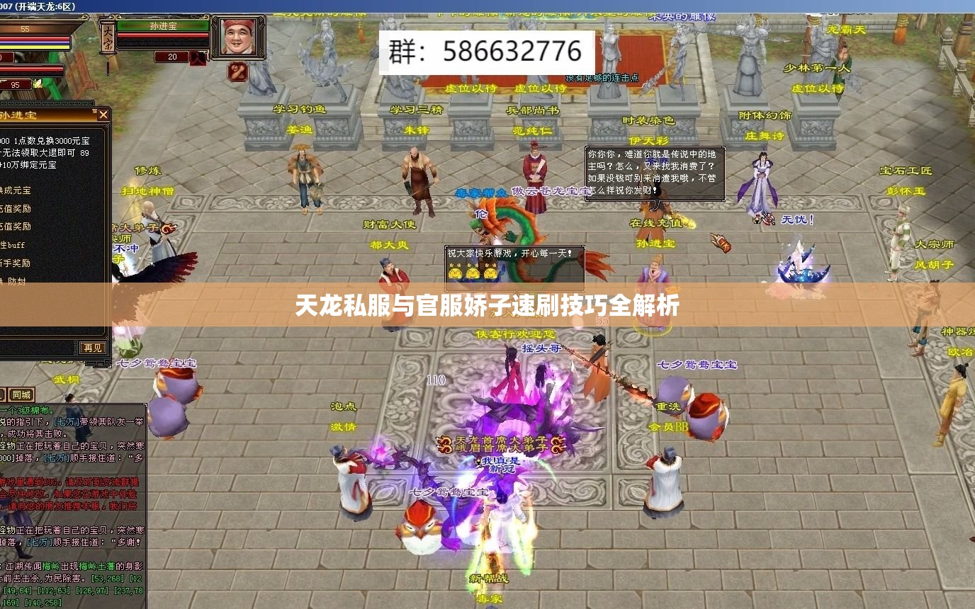 天龙私服与官服娇子速刷技巧全解析 天龙私服与官服娇子速刷技巧全解析