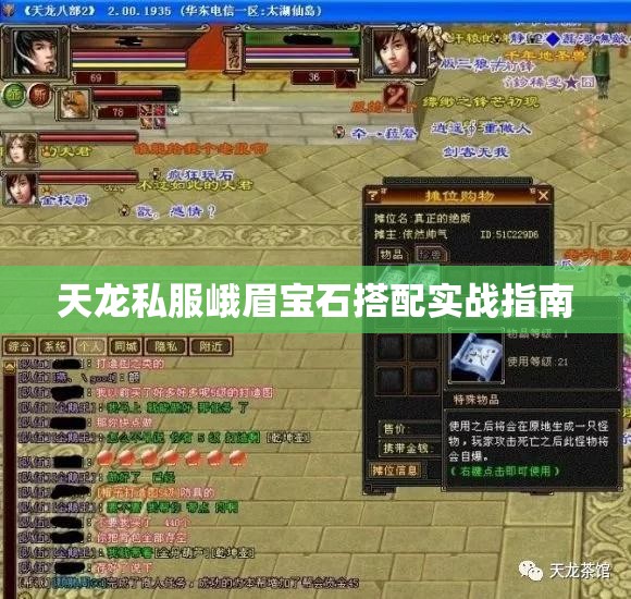 天龙私服峨眉宝石搭配实战指南 天龙私服峨眉宝石搭配实战指南