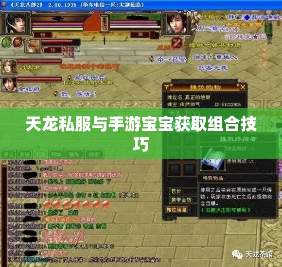 天龙私服与手游宝宝获取组合技巧 天龙私服与手游宝宝获取组合技巧