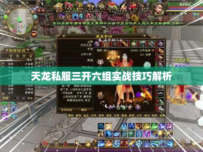 天龙私服三开六组实战技巧解析 天龙私服三开六组实战技巧解析