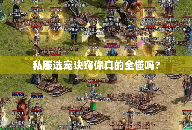 私服选宠诀窍你真的全懂吗? 私服选宠诀窍你真的全懂吗?