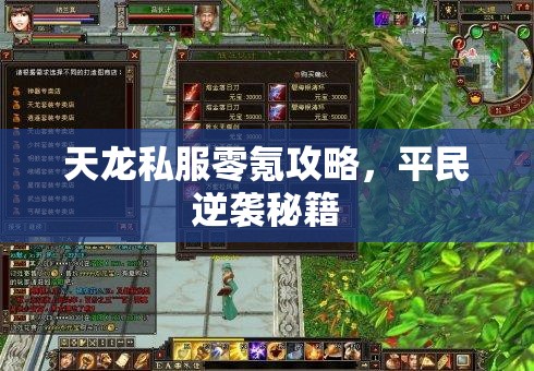 天龙私服零氪攻略,平民逆袭秘籍 天龙私服零氪攻略,平民逆袭秘籍