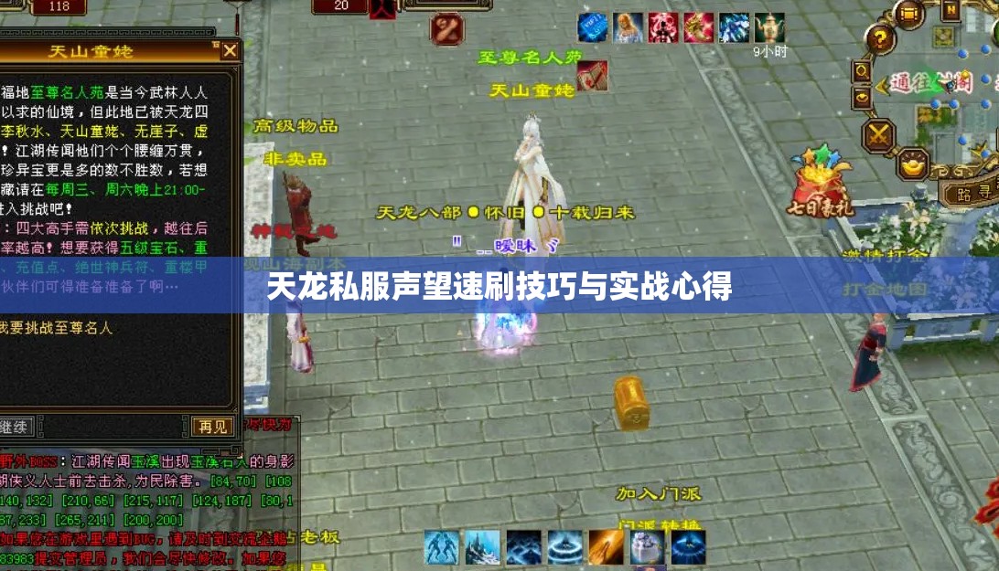 天龙私服声望速刷技巧与实战心得 天龙私服声望速刷技巧与实战心得