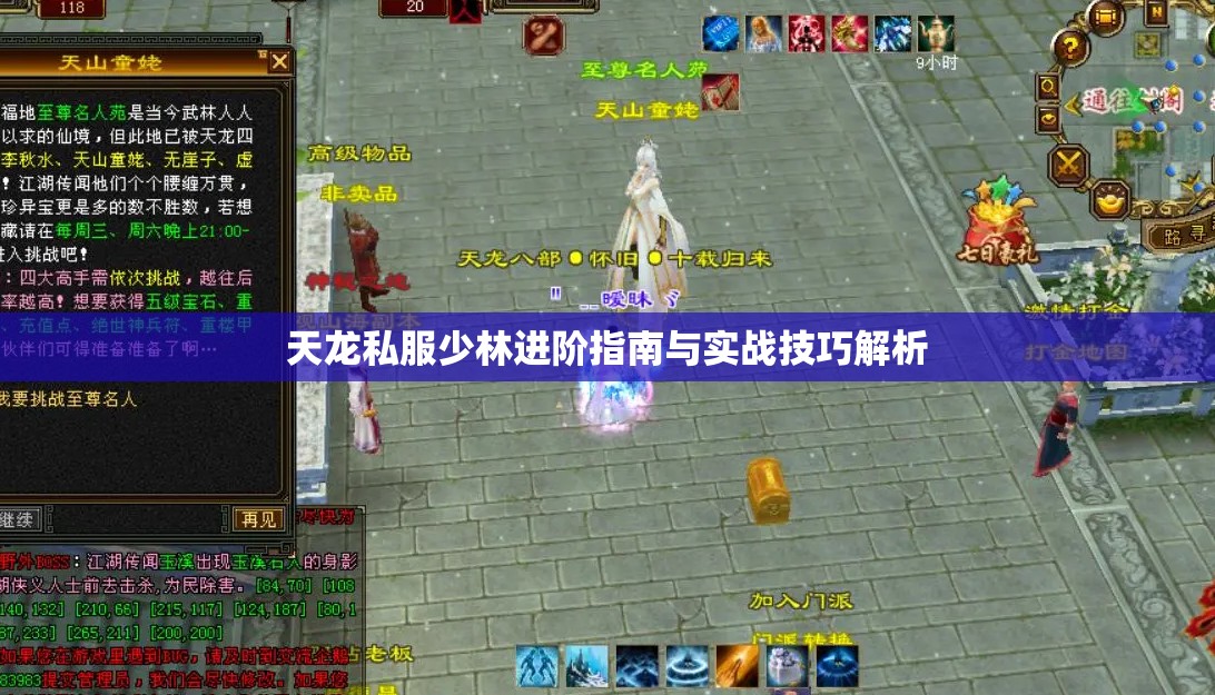 天龙私服少林进阶指南与实战技巧解析 天龙私服少林进阶指南与实战技巧解析